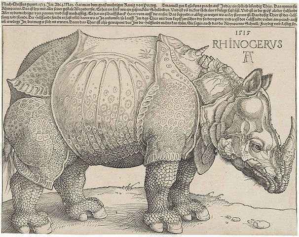 Image of a Rhinoceros"